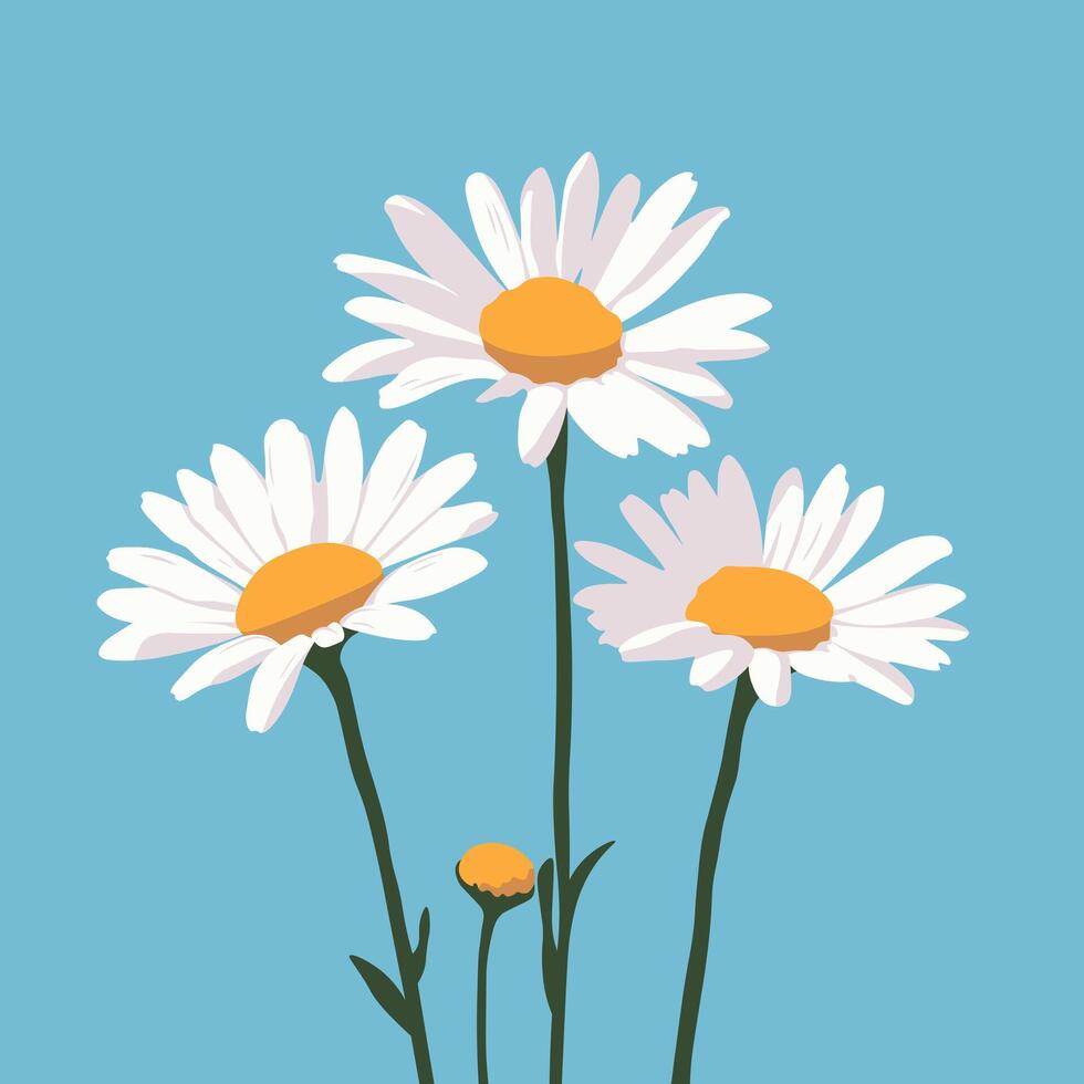 vector illustratie, vlak stijl. delicaat boeket van madeliefjes. wilde bloemen