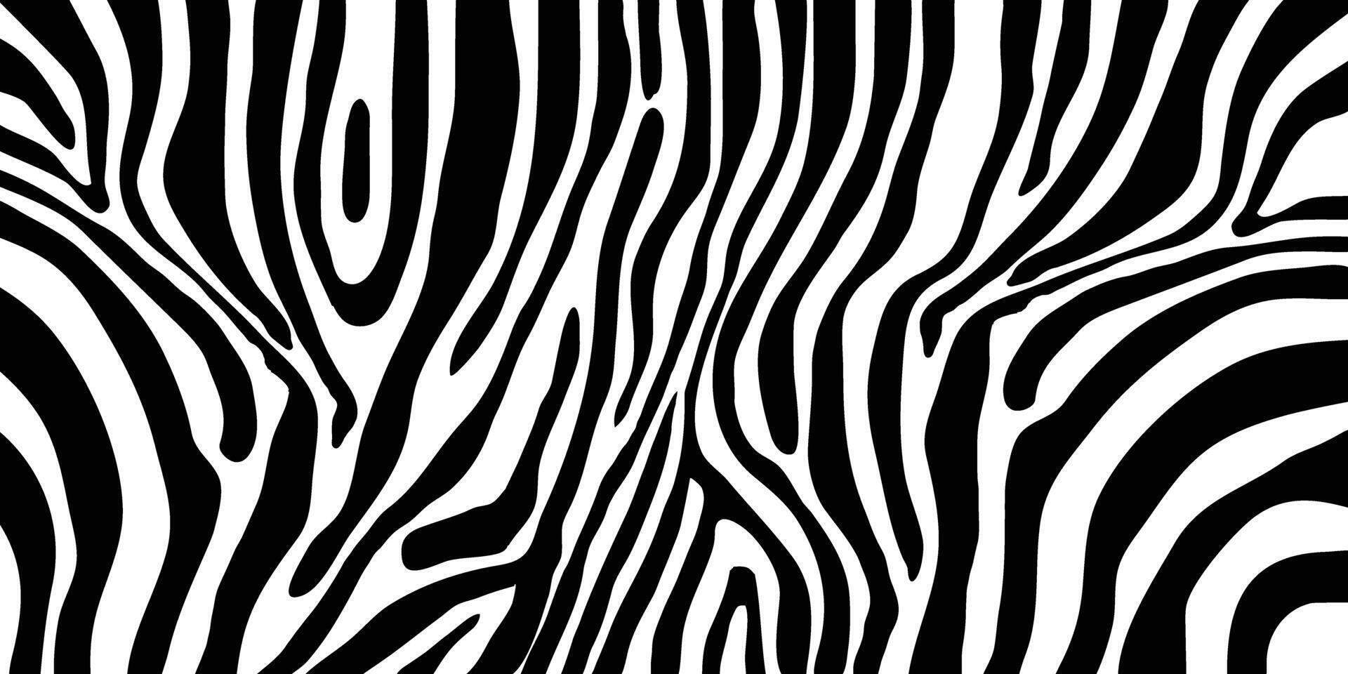 zebra patroon vorm vector in zwart wit voor achtergrond ontwerp.