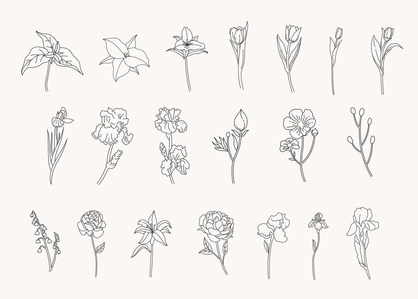 reeks van botanisch blad tekening lijn kunst hand- getrokken bloemen decoratief elementen vector