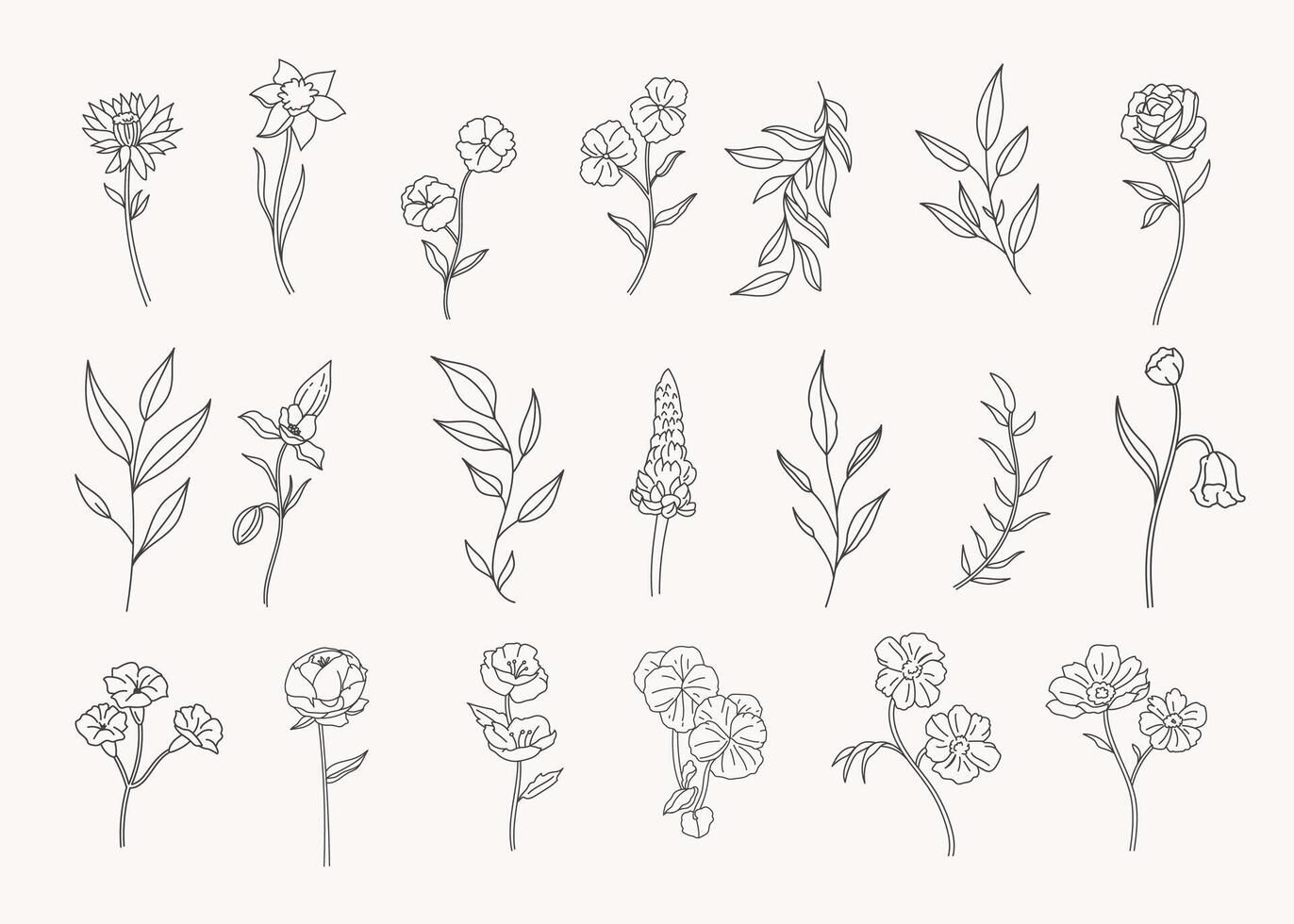 reeks van botanisch blad tekening lijn kunst hand- getrokken bloemen decoratief elementen vector