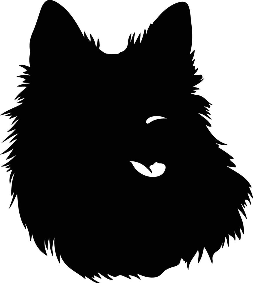 schipperke silhouet portret vector