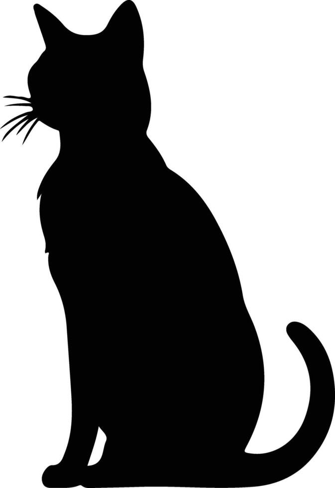 Russisch blauw kat zwart silhouet vector