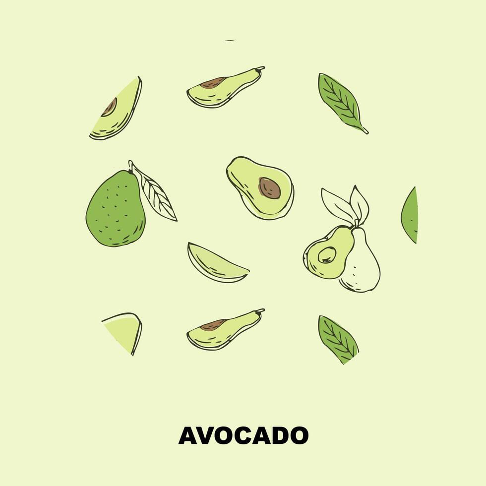 schetsen tekening banier van avocado, schets avocado en voor de helft, gesneden fruit en zaad. vector illustratie kan gebruikt voor omhulsel papier, banier en Hoes ontwerp.