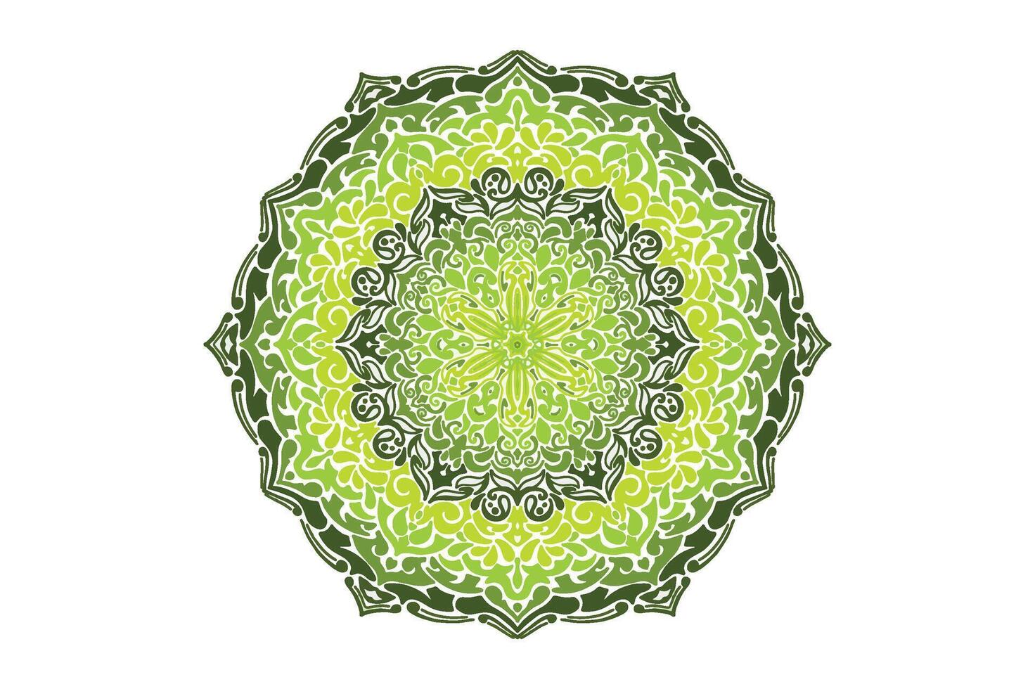 kleurrijk mandala ornament vector