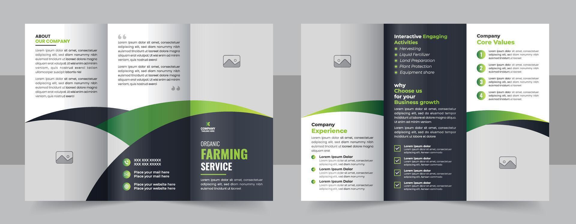creatief gazon zorg drievoud brochure sjabloon, tuinieren, tuinarchitect of agro verstevigend Diensten creatief tri vouwen brochure ontwerp lay-out vector