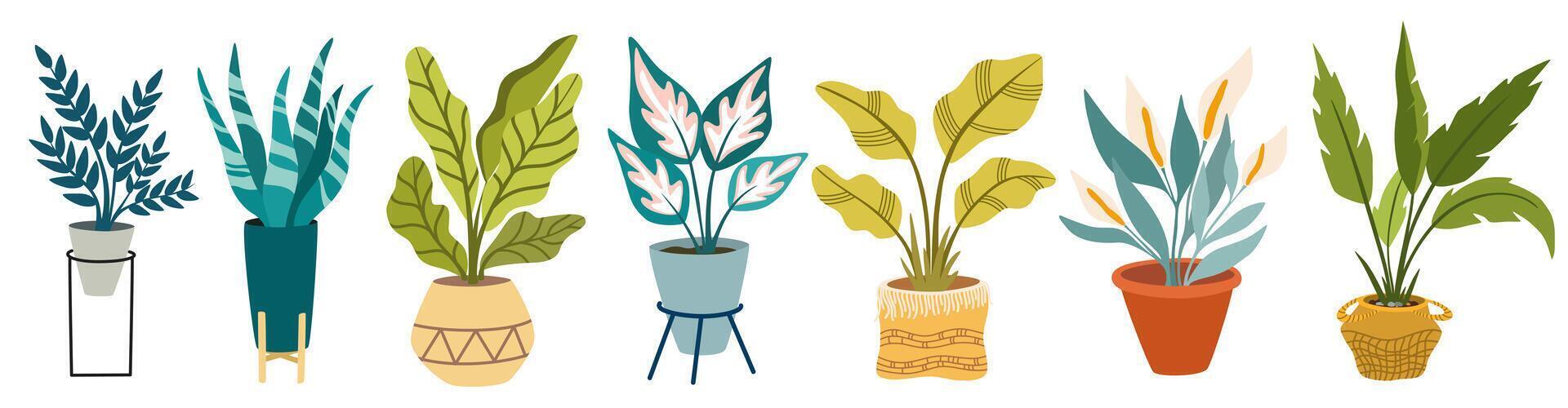 stedelijk oerwoud, modieus huis decor met planten, cactussen, tropisch bladeren in elegant plantenbakken en potten. vector hand- trek illustratie