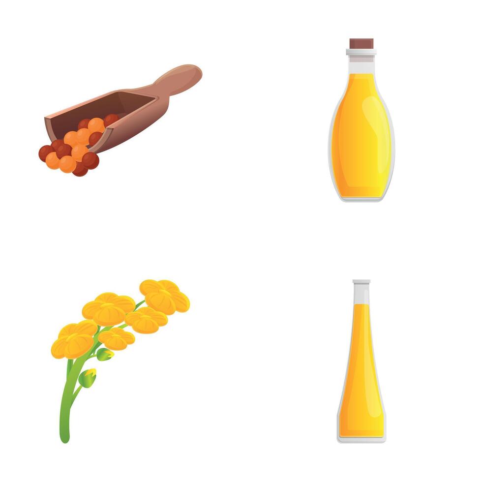 koolzaad pictogrammen reeks tekenfilm vector. canola olie zaad en bloem vector