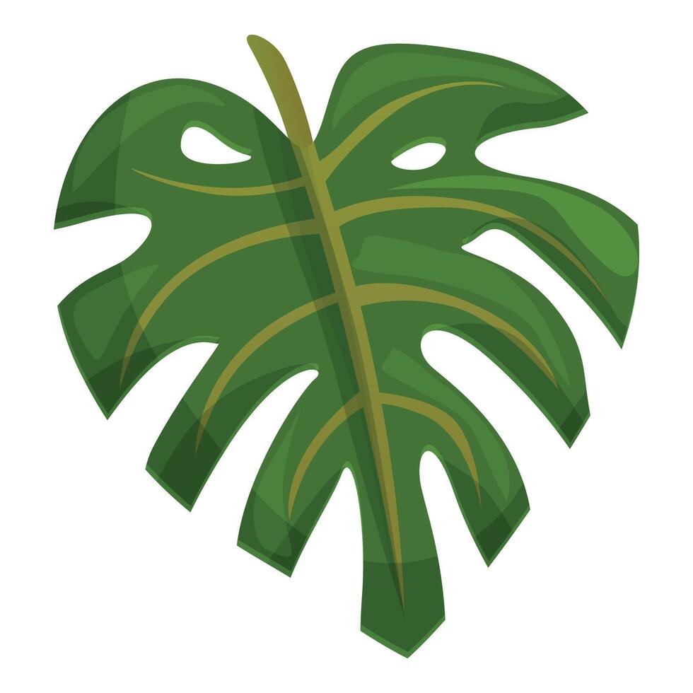 natuurlijk blad fabriek icoon tekenfilm vector. monstera palm vector