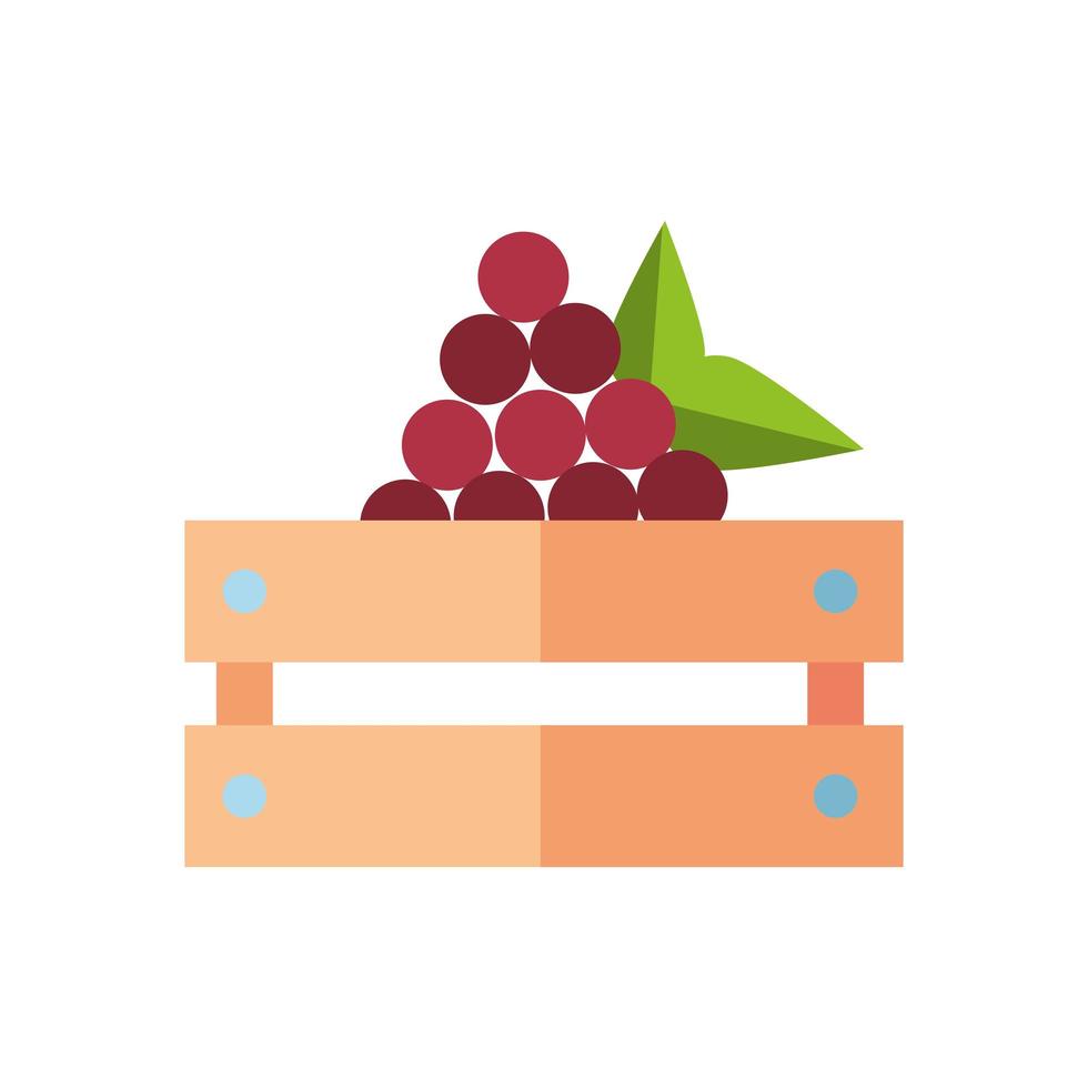 druiven vers fruit in houten mand vector