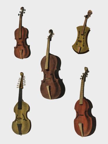 Een verzameling antieke viool, altviool, cello en meer uit Encyclopedia Londinensis; of Universal Dictionary of Arts, Sciences and Literature (1810). Digitaal verbeterd door rawpixel. vector