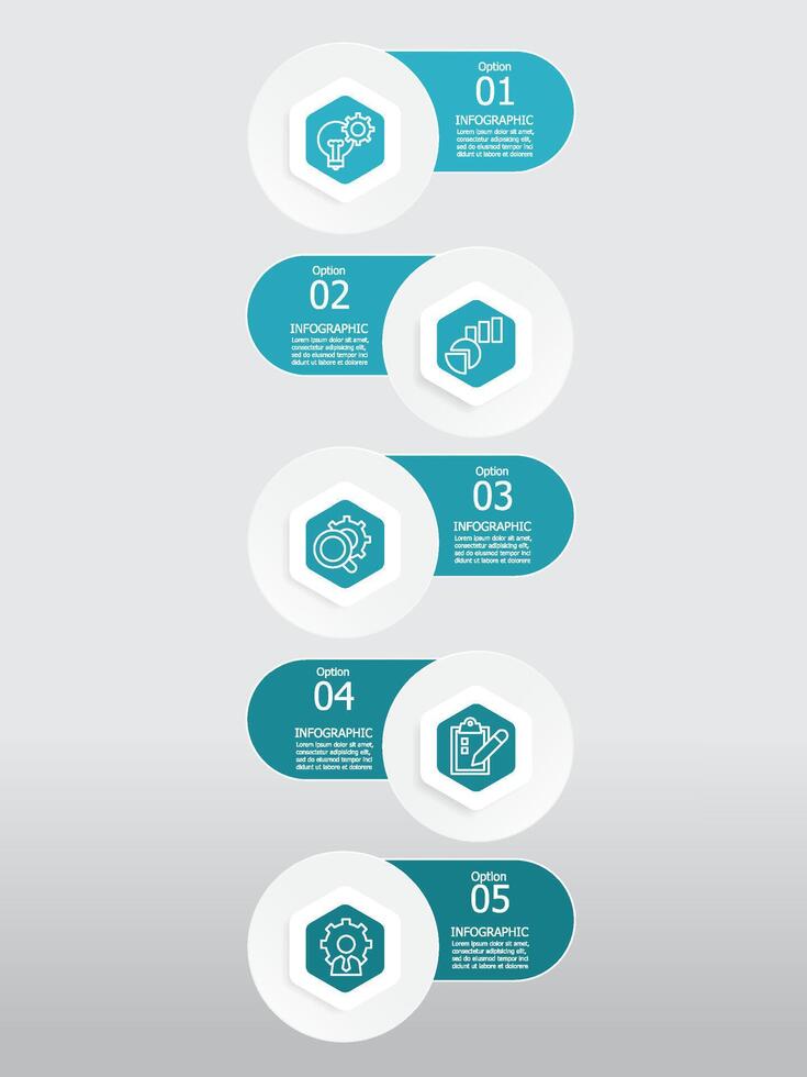 verticaal ronde zeshoek stappen tijdlijn infographic element verslag doen van achtergrond met bedrijf lijn icoon 5 stappen vector