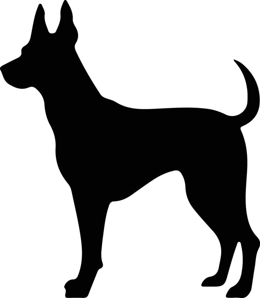 Duitse pinscher zwart silhouet vector