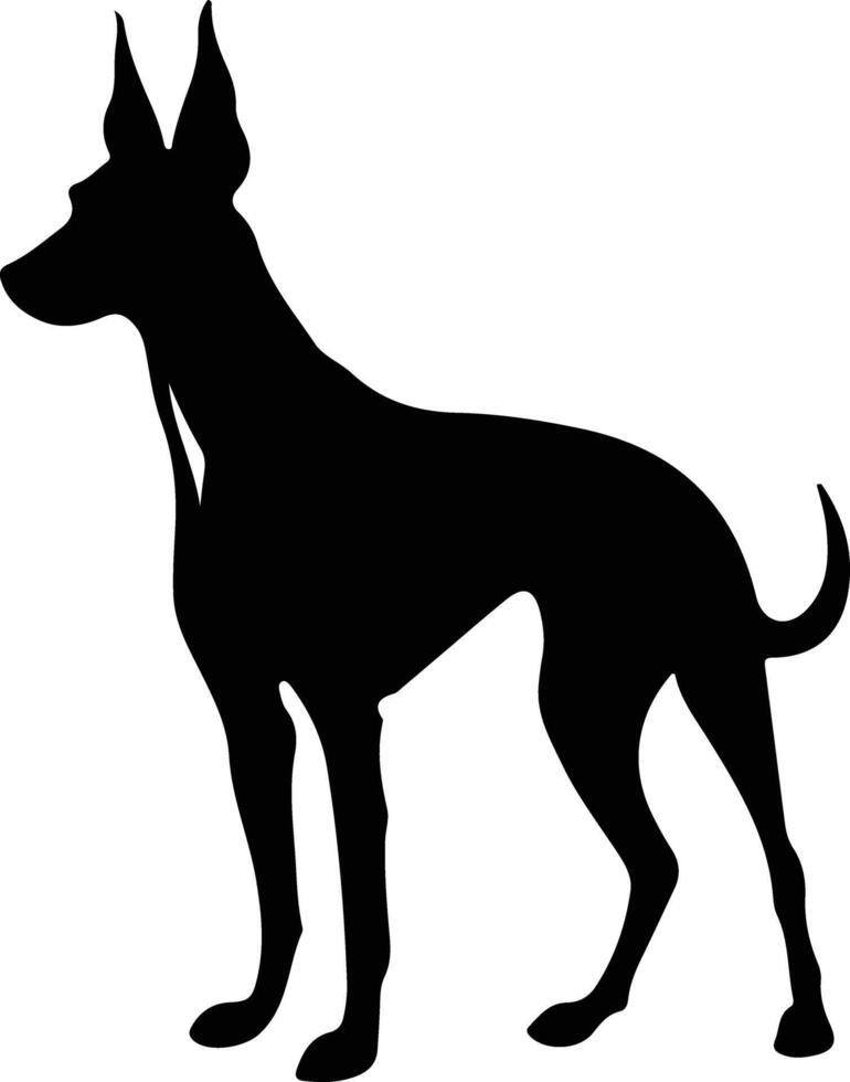 Farao hond zwart silhouet vector