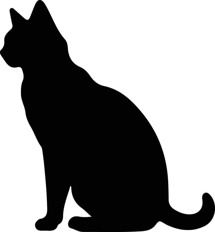 Europese kort haar kat zwart silhouet vector