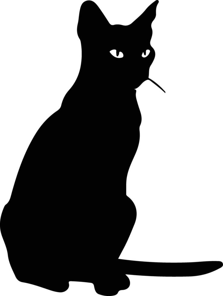 Siamees kat zwart silhouet vector