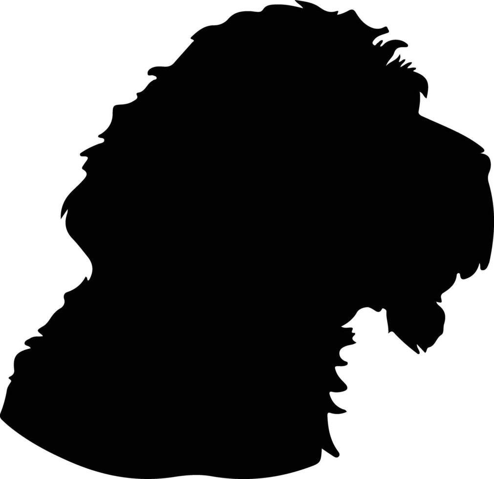 Spaans water hond silhouet portret vector