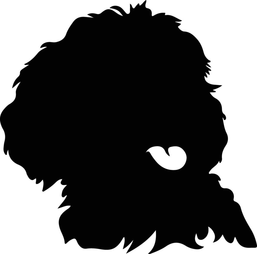 Spaans water hond silhouet portret vector