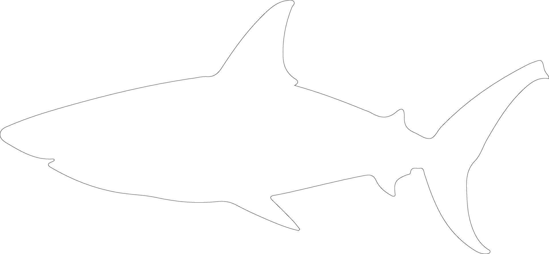 mako haai schets silhouet vector
