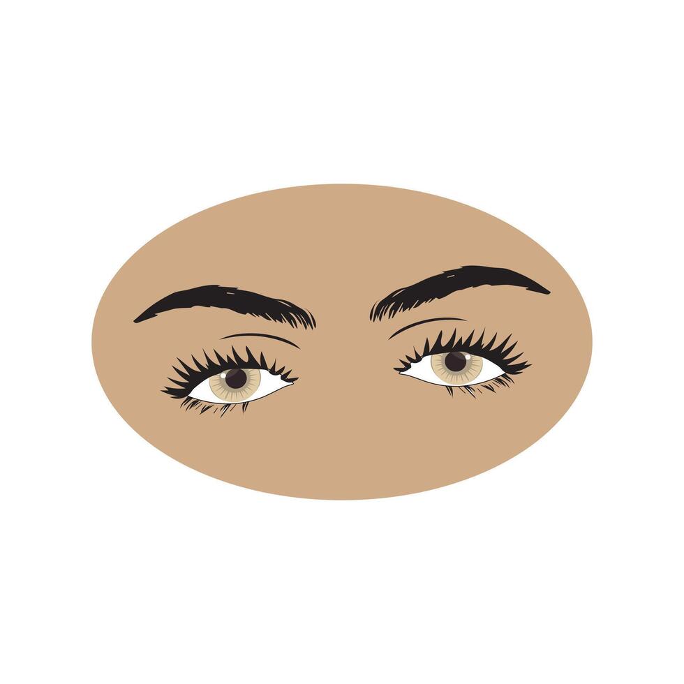 vrouw ogen icoon met oog wenkbrauwen. illustratie van vrouw sexy luxueus oog met perfect vormig wenkbrauwen en vol wimpers. vector