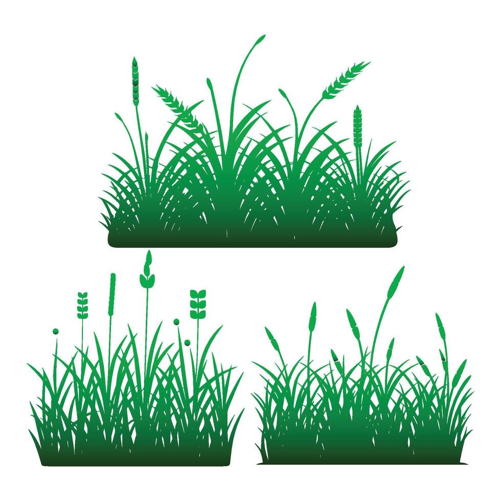 groen gras geïsoleerd op een witte achtergrond vector