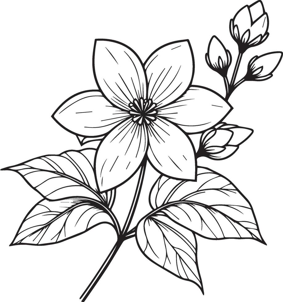 uniek bloem kleur Pagina's, hand getekend vector illustratie van een tuin verscheidenheid van jasmijn bloemen en schets illustratie, gerdenia bloemen muur decor, jasmijn bloem kunst afdrukbaar sjabloon,