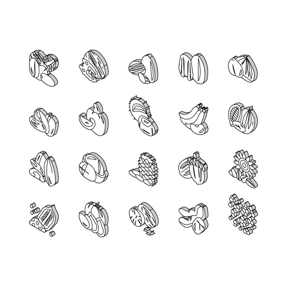 noot heerlijk natuurlijk voeding isometrische pictogrammen reeks vector