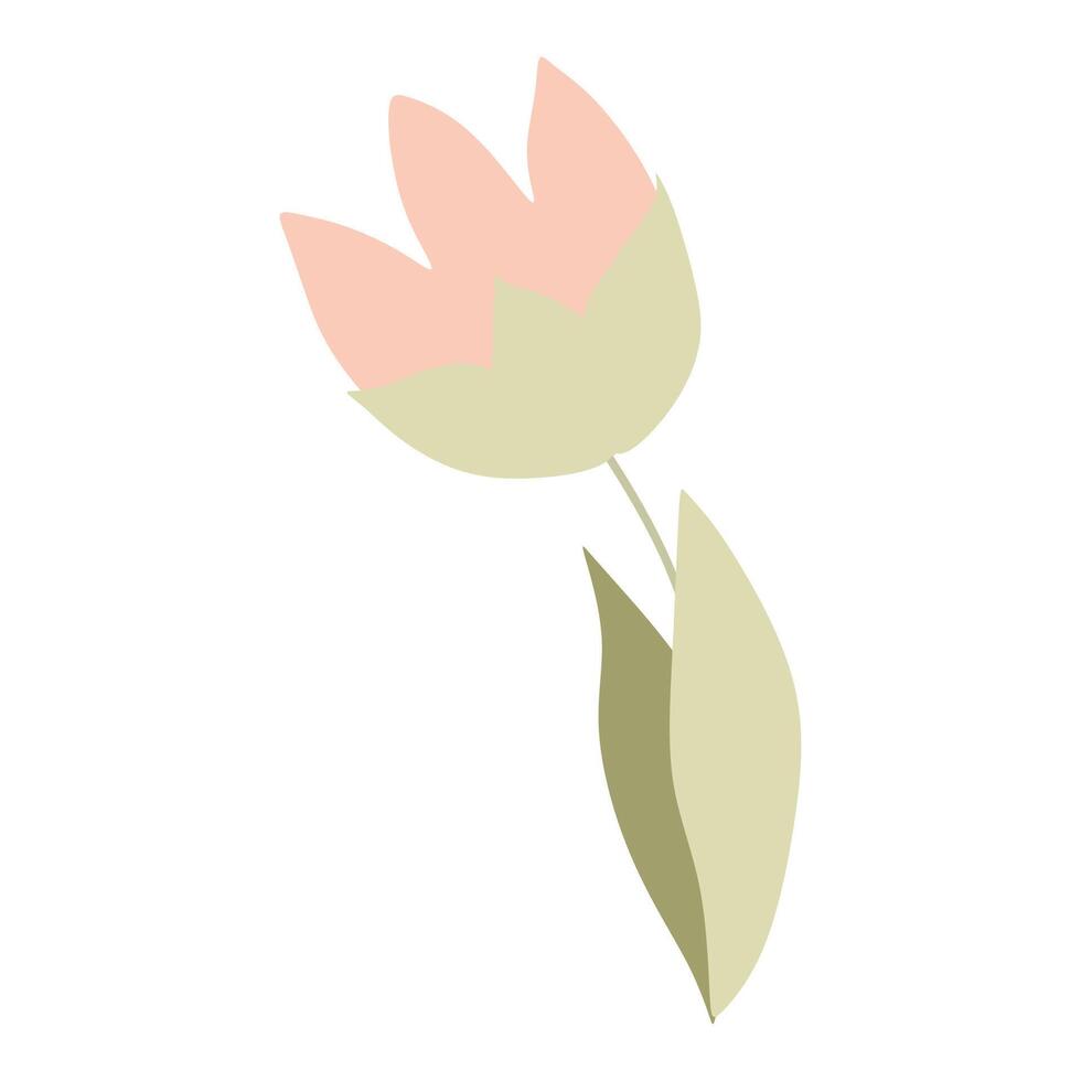 pastel kleur oranje tulp bloem, geïsoleerd Aan wit achtergrond voorjaar tuin plantkunde vector vlak illustratie voor groet kaart, ansichtkaart, bloemen winkel logo. zomer afdrukken bloeiend ontwerp element.