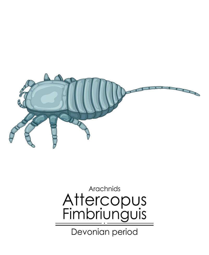 attercopus fimbriunguis de oudste bekend spin vector