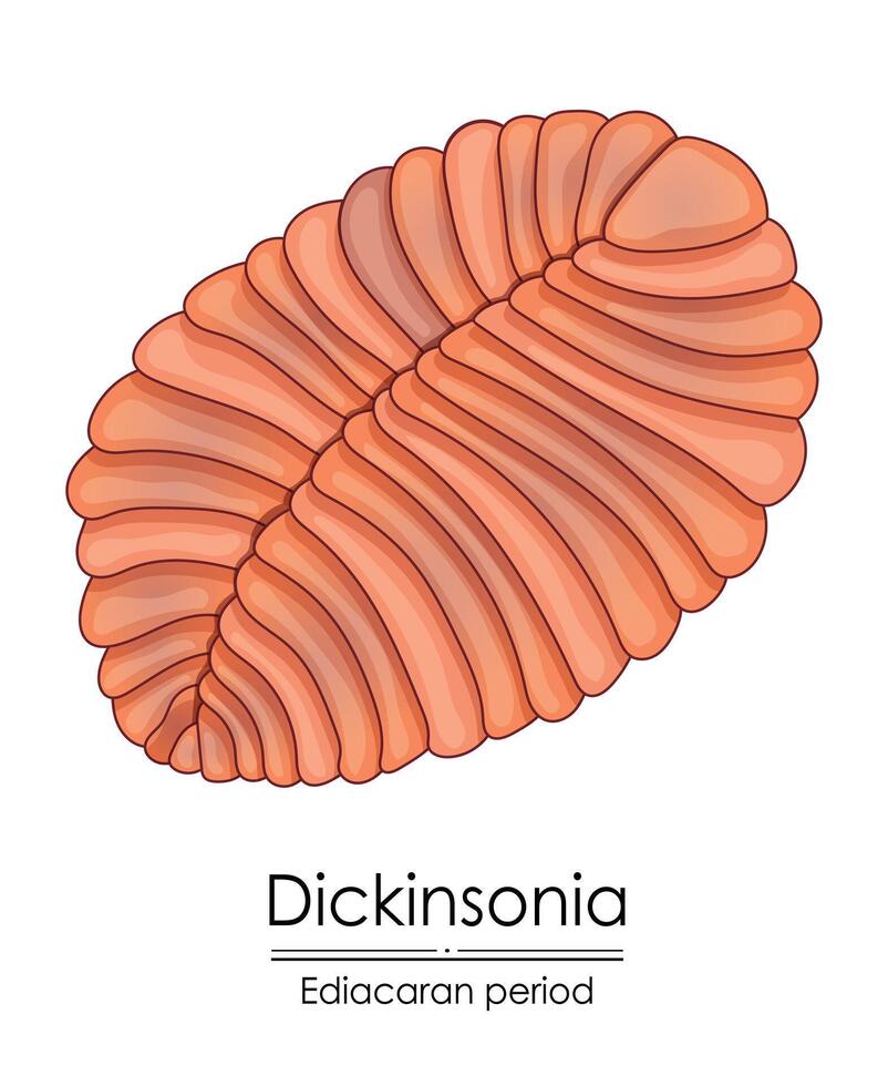 dickinsonia, een edicacaran periode schepsel vector
