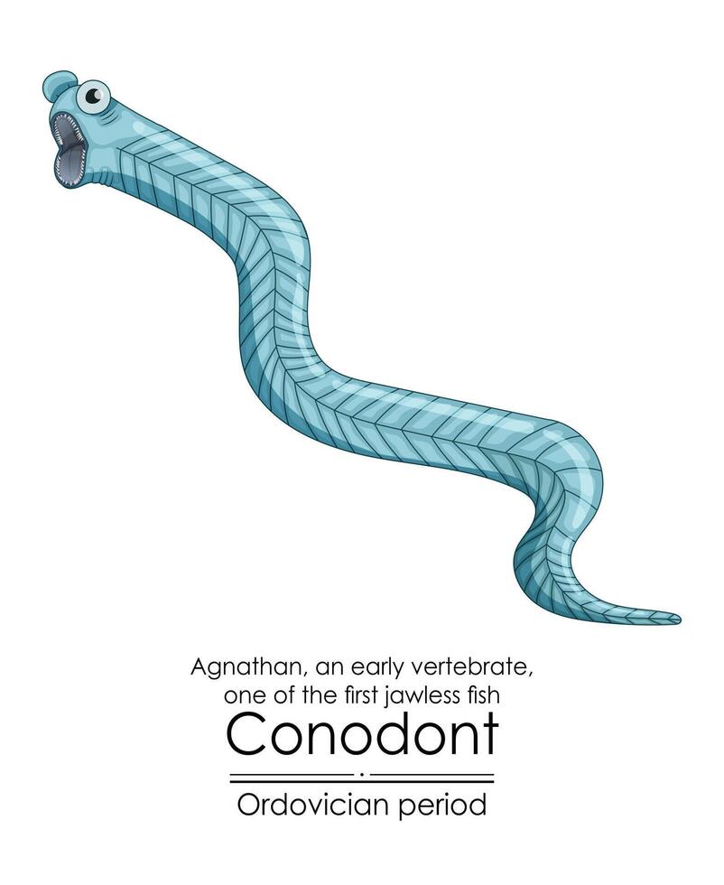 conodont een ordovicium periode kaakloos gewerveld vector