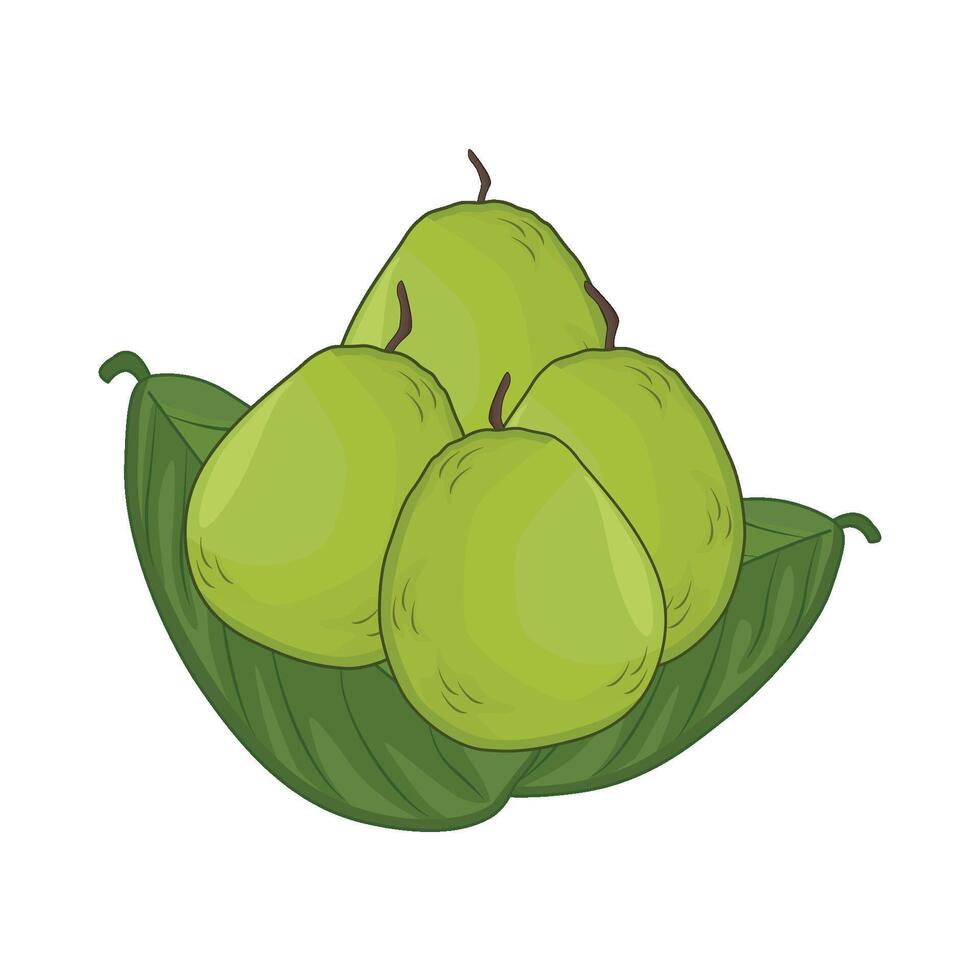 illustratie van guava vector