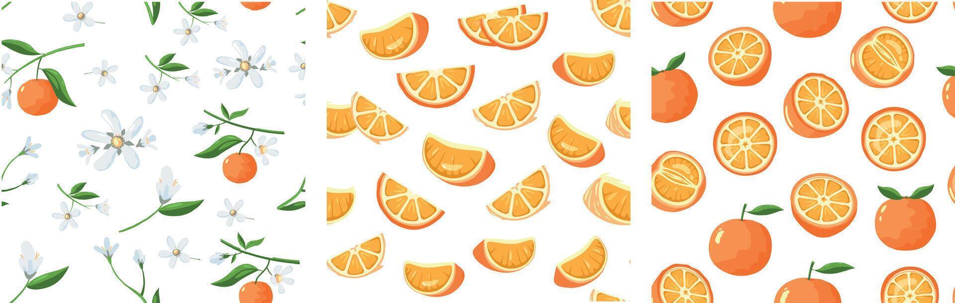 oranje patroon. naadloos afdrukken met tekenfilm tropisch zoet mandarijn fruit, tekenfilm achtergrond met natuur biologisch citrus. vector structuur