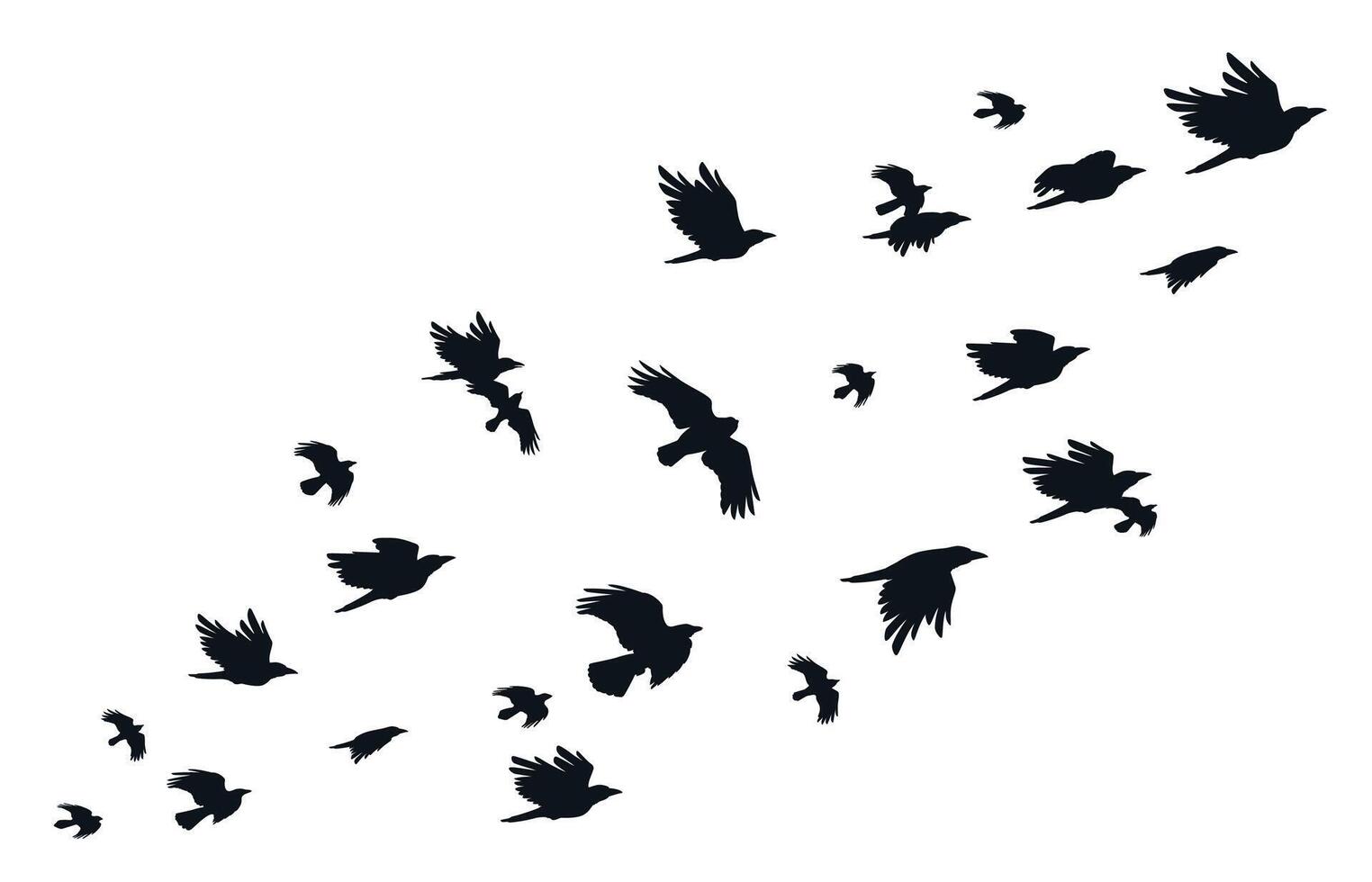kudde van kraaien. vliegend zwart vogelstand in lucht monochroom fladderen raaf silhouet, migreren vlucht groep van wild torens ornithologie concept. vector illustratie