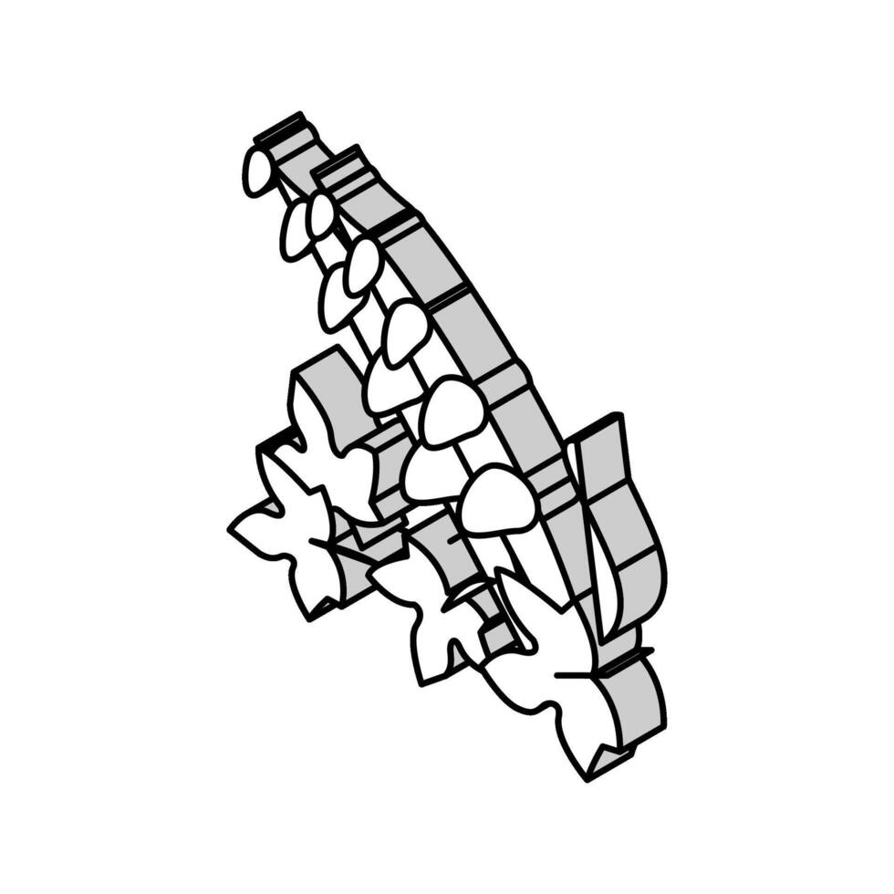 voetzoeker Liaan isometrische icoon vector illustratie