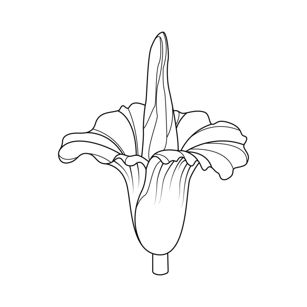 de illustratie van lijk bloem vector