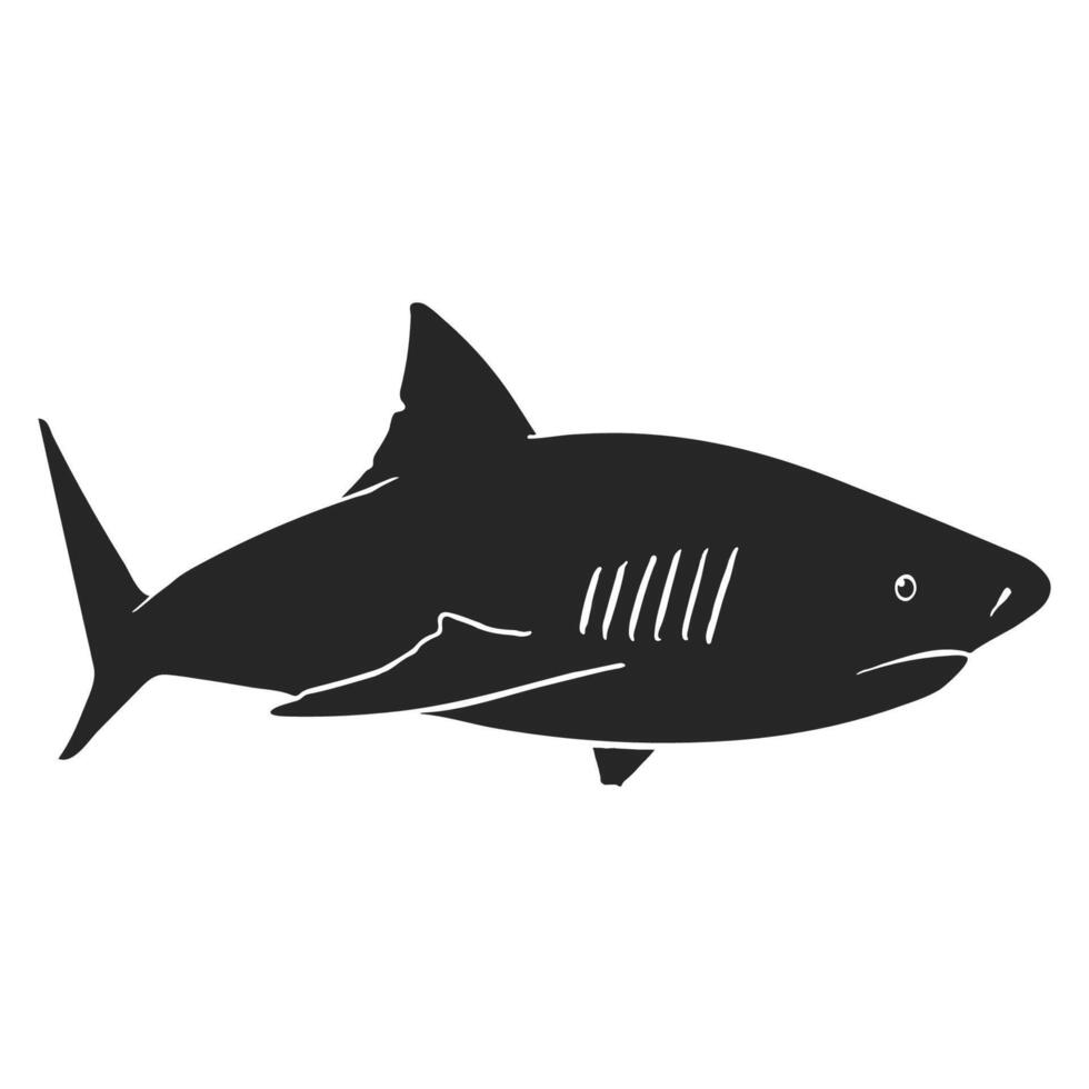 hand- getrokken haai vector illustratie
