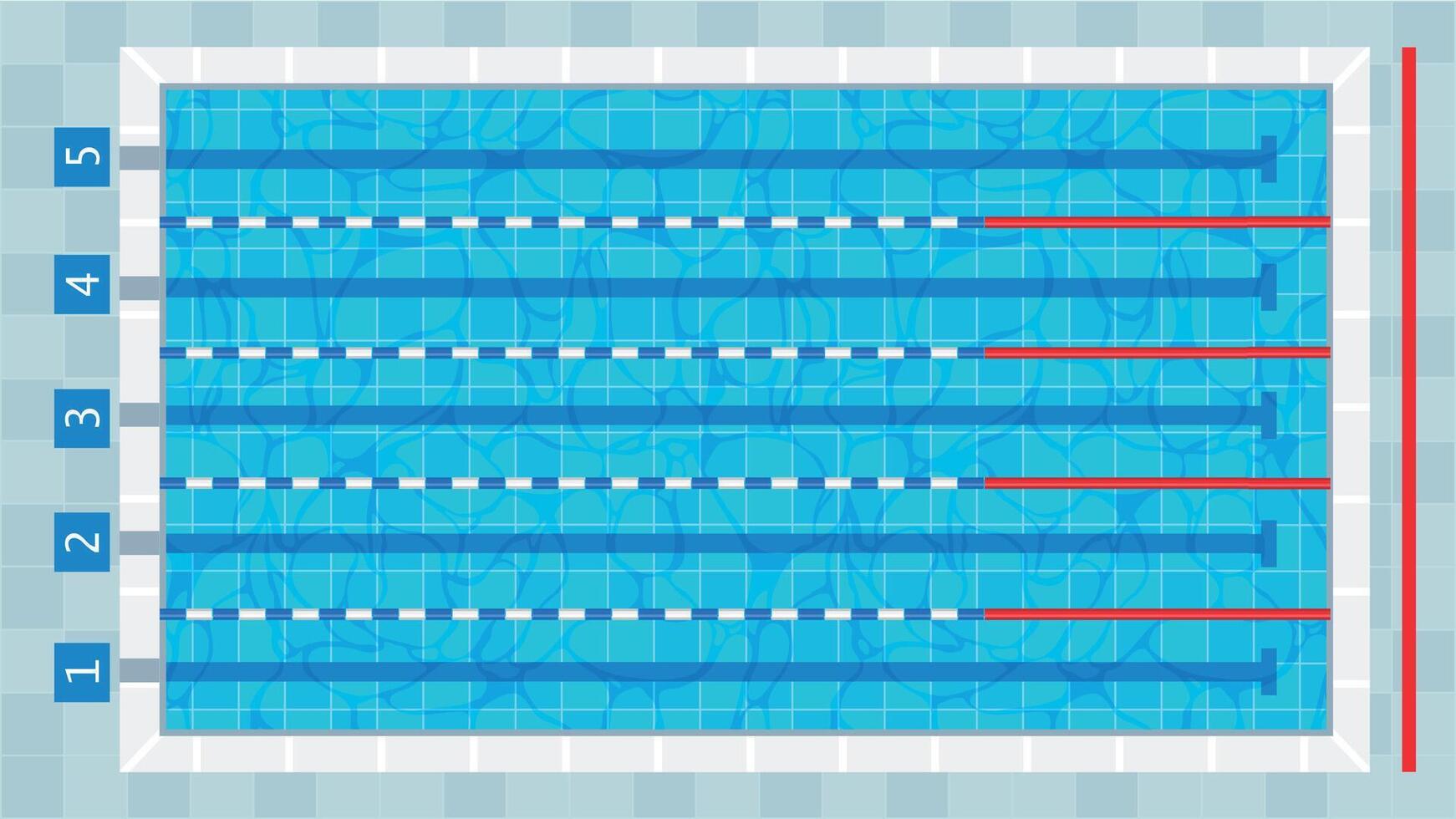 zwemmen zwembad. sport wedstrijd zwemmen diep bad rijstroken top visie, tekenfilm opleiding openbaar geschiktheid bekken water textuur, gezond levensstijl concept. vector illustratie