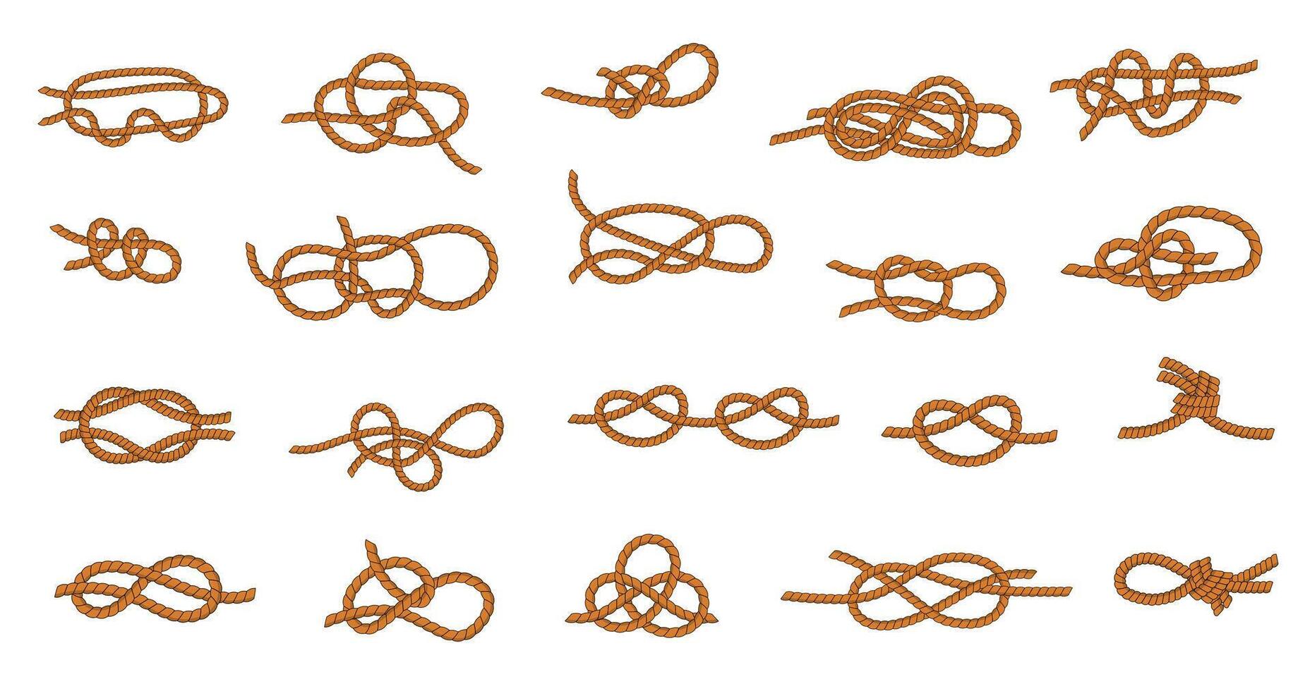 touw knoop. marinier en nautische banden en draden voor varen en het zeilen, verschillend types van koppelverkoop knopen grafisch verzameling. vector geknoopt touw reeks