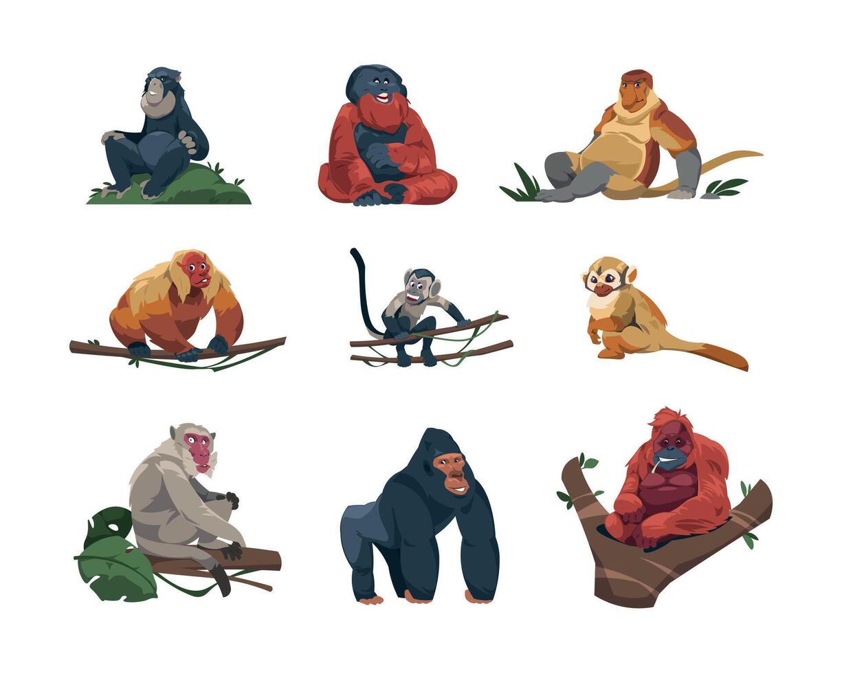 aap soorten. schattig tropisch apen vlak tekenfilm stijl, kleurrijk grappig dieren in het wild oerwoud primaten, dierentuin exotisch dieren in verschillend poseert. vector geïsoleerd reeks