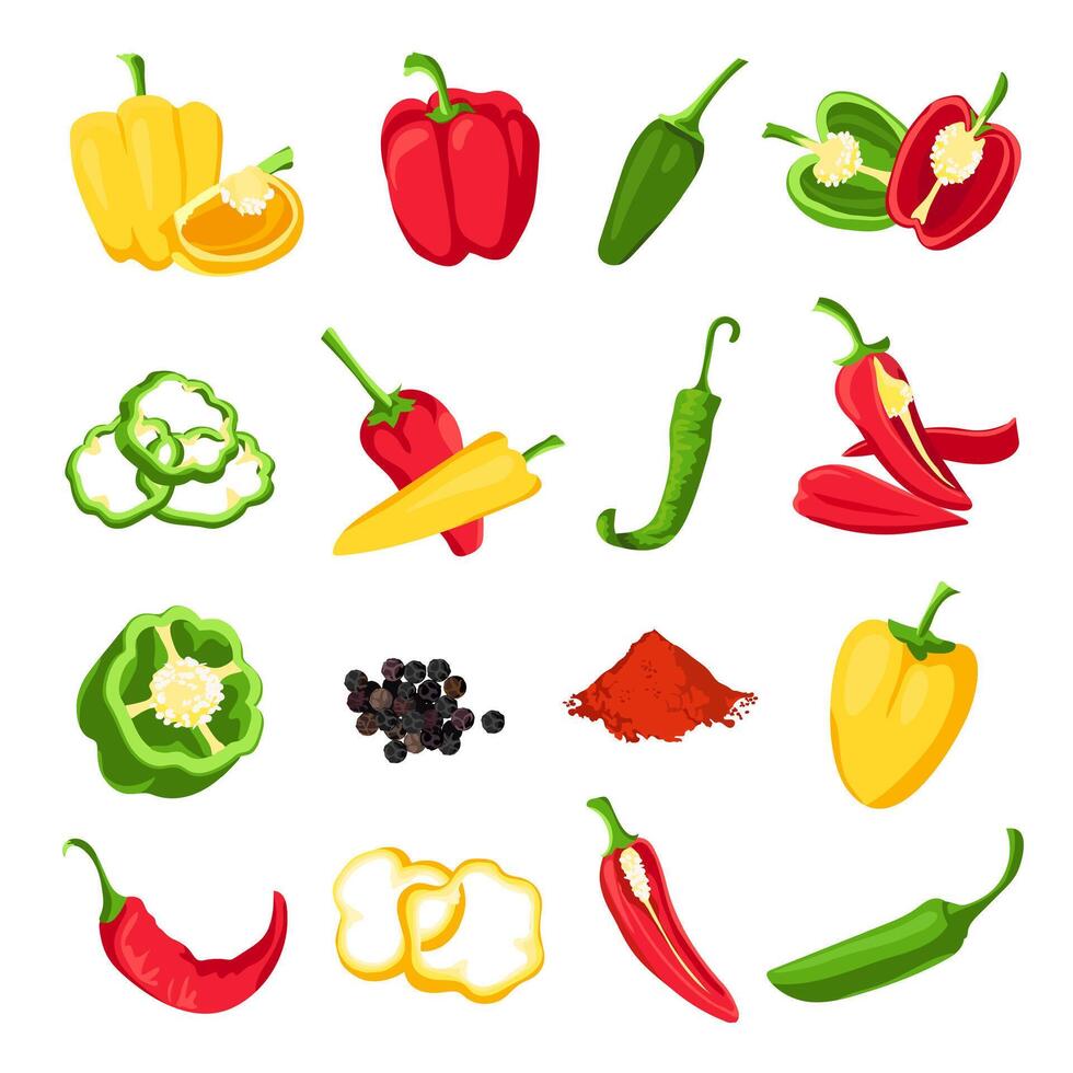 peper en paprika. rood, groen en geel zoet, heet en pittig paprika's. jalapeño, paprika, cayenne en Chili kruid voor saus, vector reeks