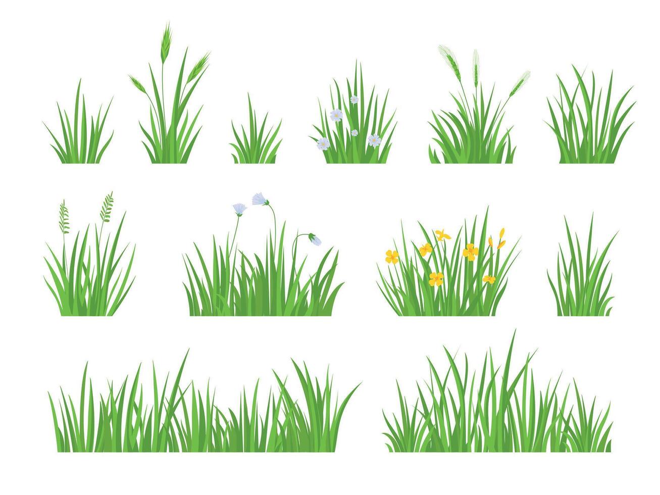 tekenfilm groen weide gras met bloem, kruiden en piek oren. voorjaar tuin gazon horizontaal grenzen. veld- vers natuurlijk gras vector reeks