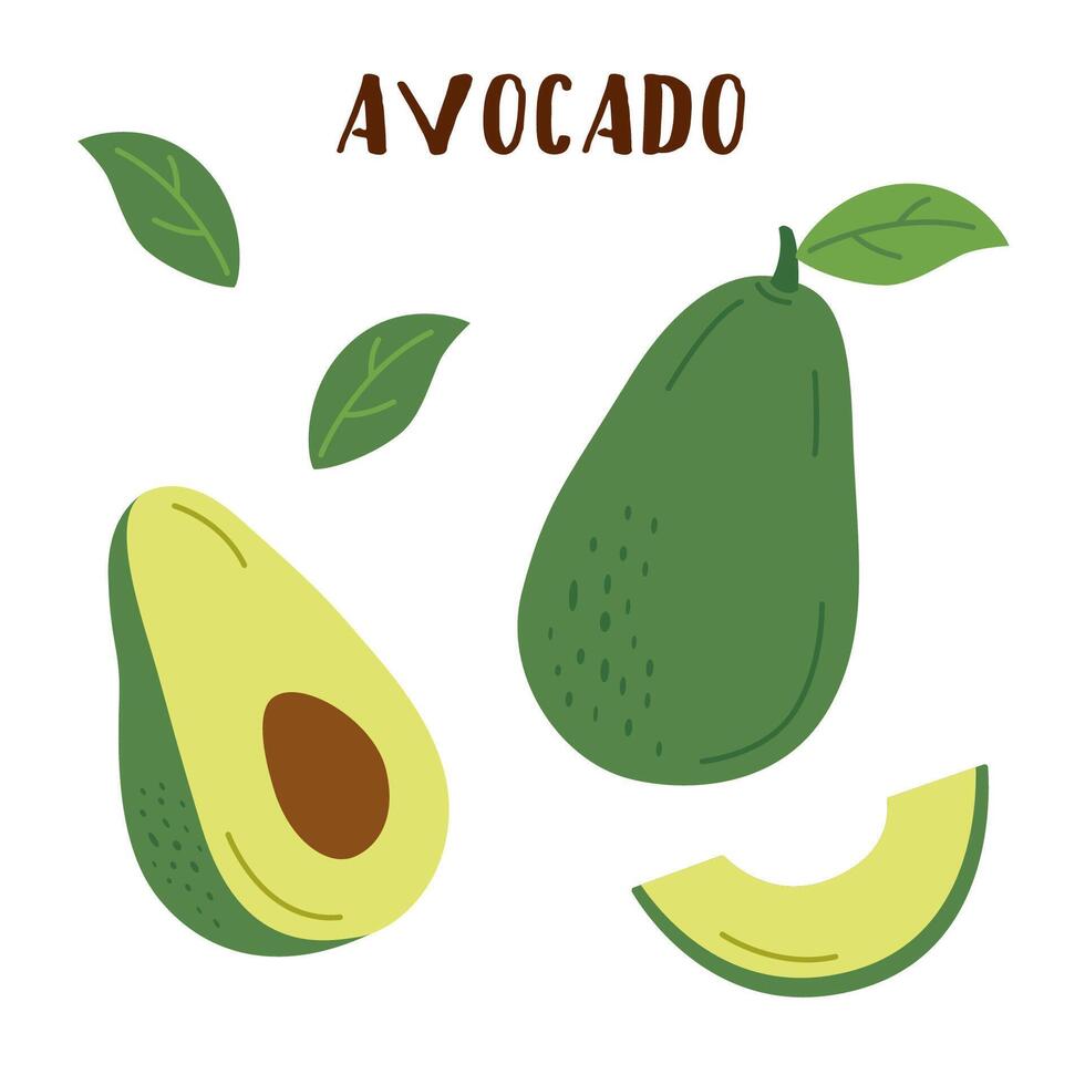 reeks van avocado geïsoleerd Aan wit. avocado groente in vlak stijl. vector