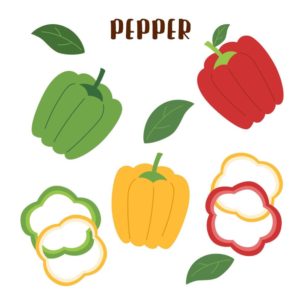 reeks van peper geïsoleerd Aan wit. peper groente. vector