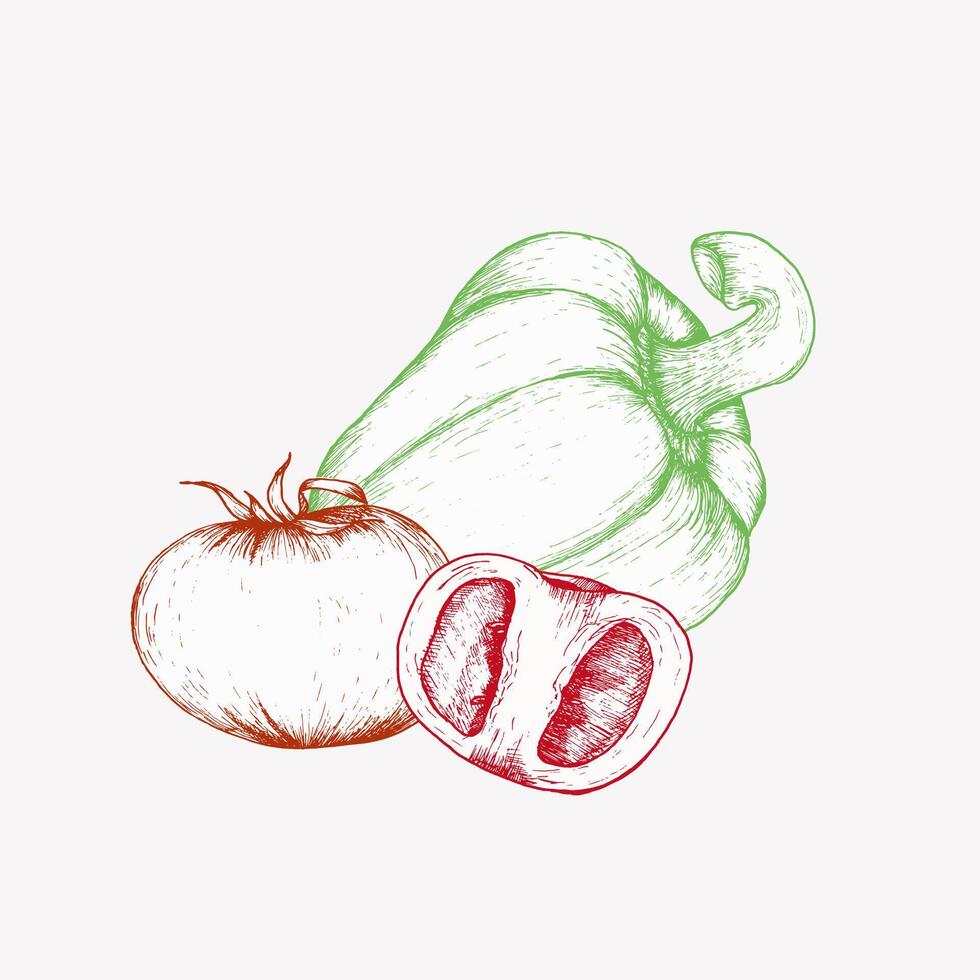 gezond voedsel vector illustartion van groen zoet papper, rood tomaten. vegetarisch voedsel samenstelling in lijn kunst stijl, inkt grafiek voor restaurant, menu, cafe ontwerp