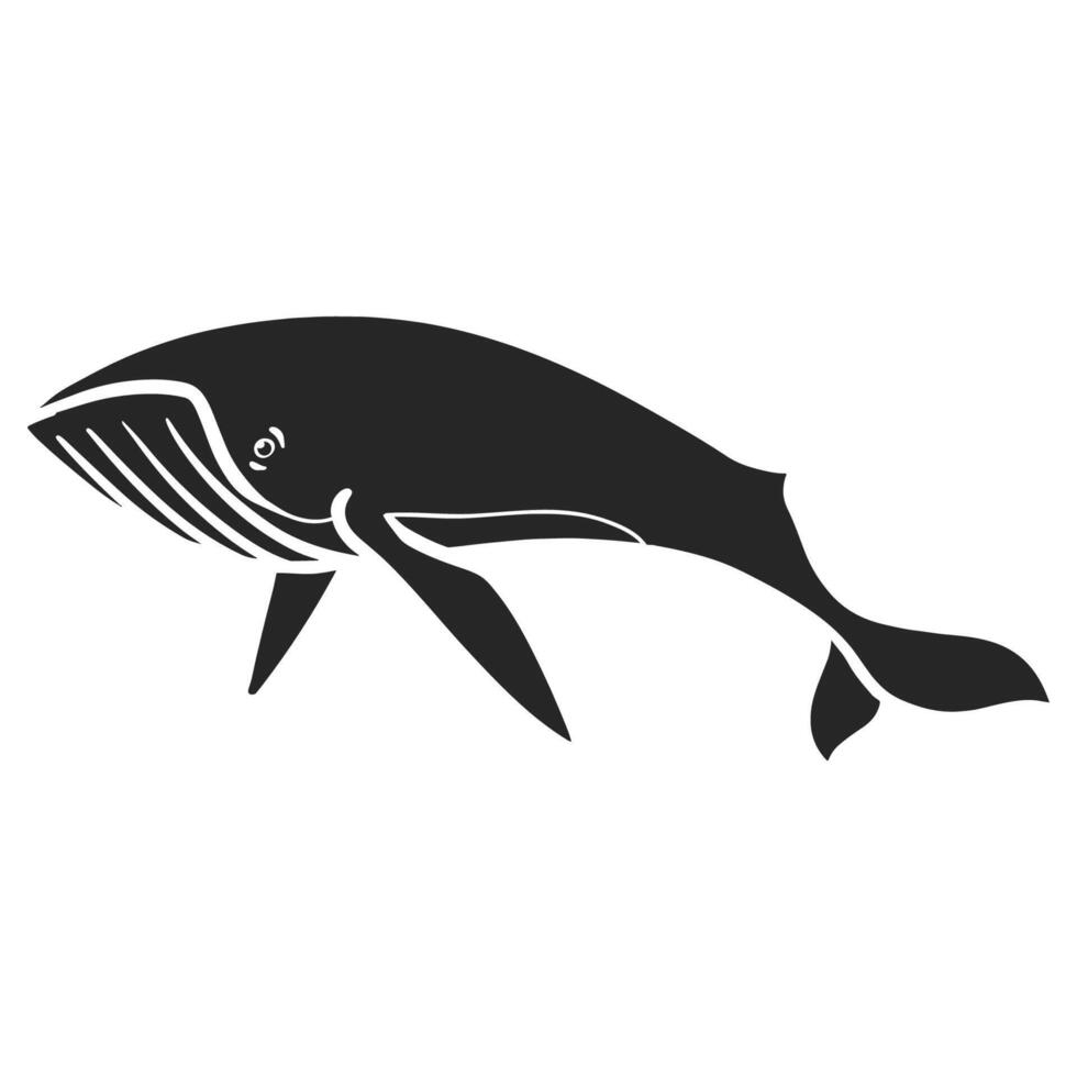 hand- getrokken walvis vector illustratie