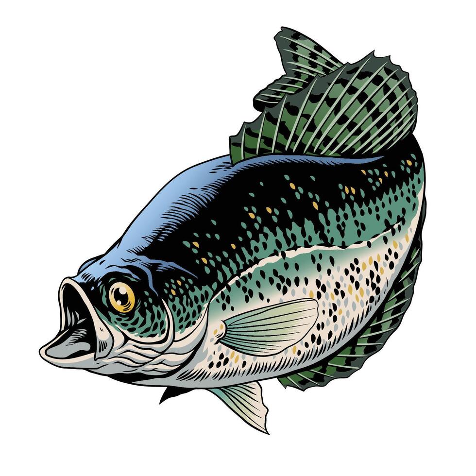 crappie vis gekleurde wijnoogst illustratie vector