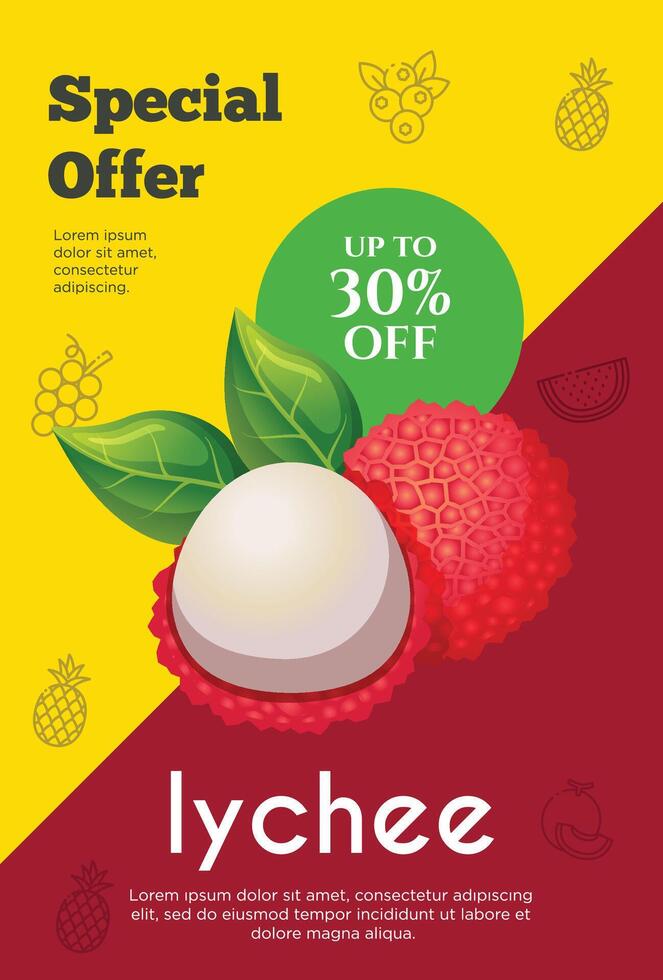 folder speciaal aanbod voor lychee fruit Product. fruit Promotie folder vector