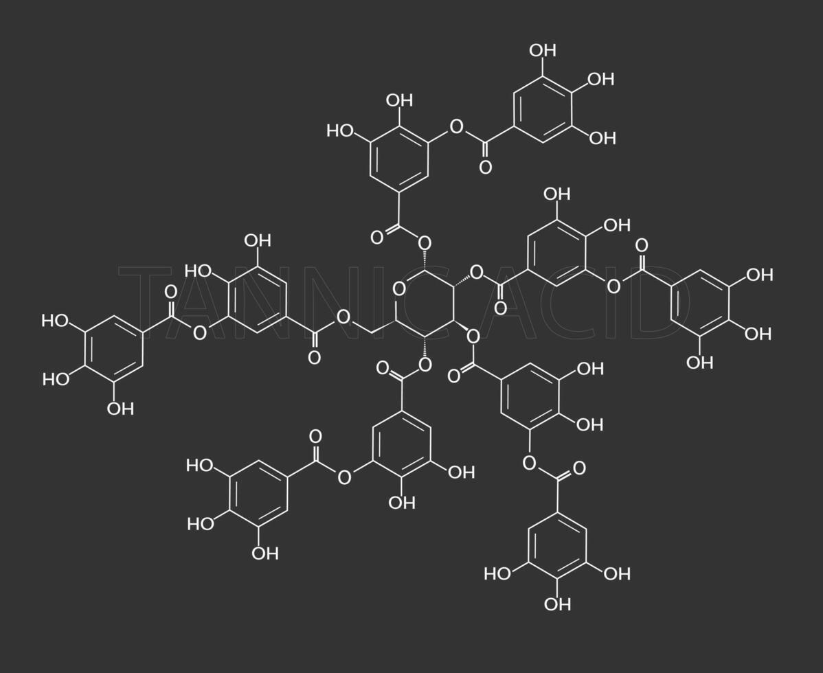 tannine zuur moleculair skelet- chemisch formule vector