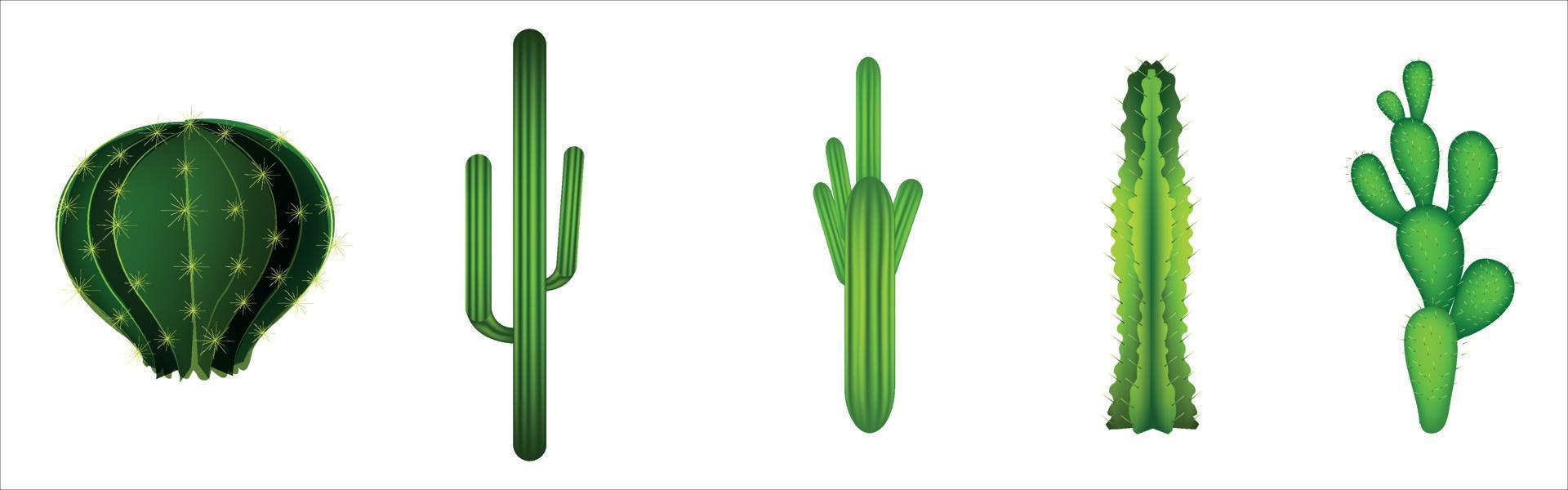 cactus collectie vector