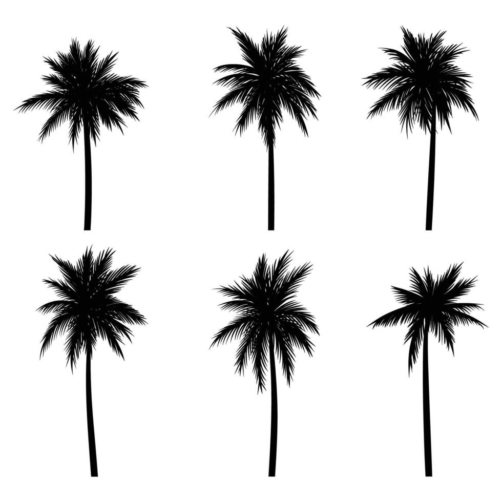 palm boom kokosnoot silhouet reeks verzameling vector